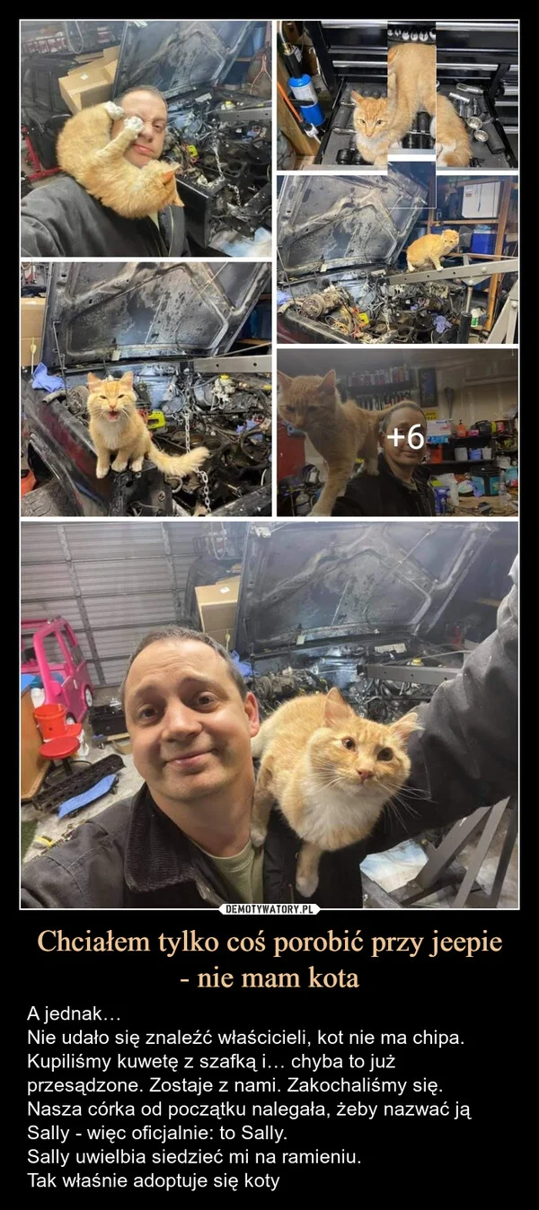 
    Chciałem tylko coś porobić przy jeepie - nie mam kota