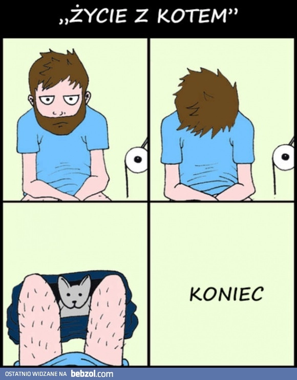 
    Życie z kotem