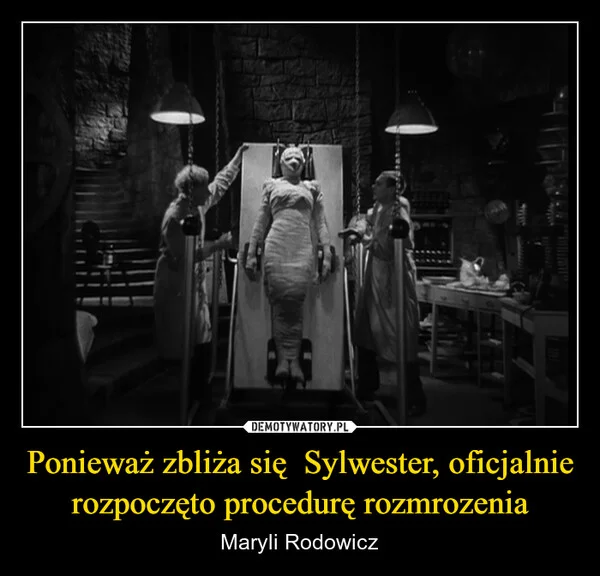 Ponieważ zbliża się Sylwester, oficjalnie rozpoczęto procedurę rozmrozenia