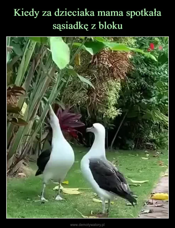 
    Kiedy za dzieciaka mama spotkała sąsiadkę z bloku