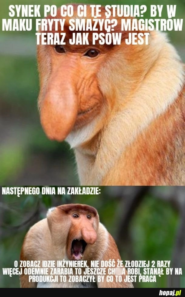 
    Po co ci te studia
