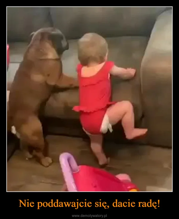 
    Nie poddawajcie się, dacie radę!