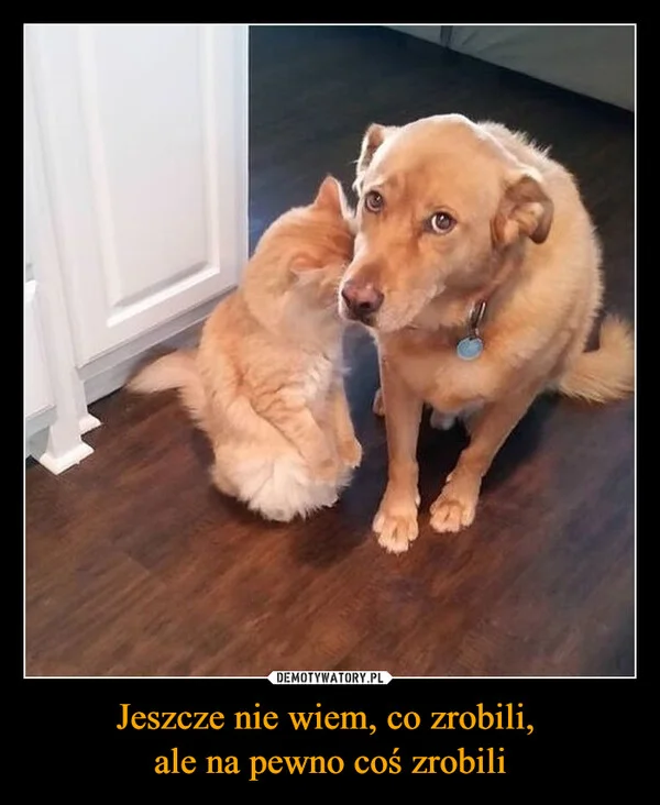 
    Jeszcze nie wiem, co zrobili, ale na pewno coś zrobili