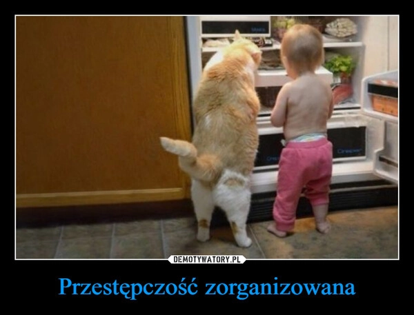 
    Przestępczość zorganizowana