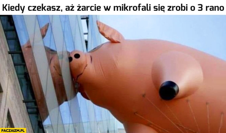 Kiedy czekasz aż żarcie w mikrofali się zrobi o 3 rano świnia