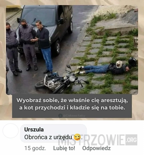 
    Aresztowanie