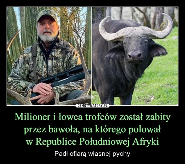 
    Milioner i łowca trofeów został zabity przez bawoła, na którego polował
w Republice Południowej Afryki