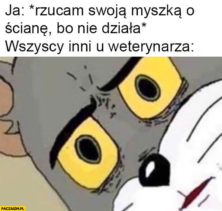 
    Ja: rzucam swoją myszką o ścianę, bo nie działa, wszyscy inni u weterynarza zdziwieni