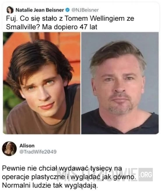 
    Wygląd