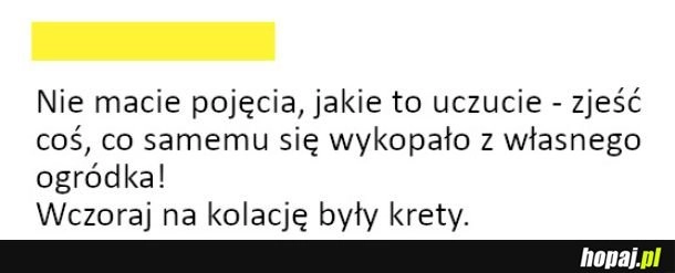 
    Wspaniałe uczucie