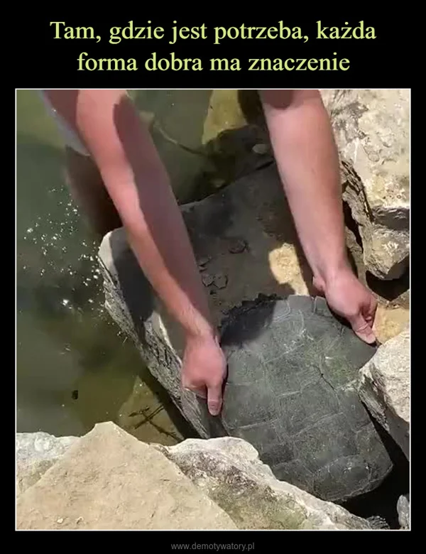 
    Tam, gdzie jest potrzeba, każda forma dobra ma znaczenie