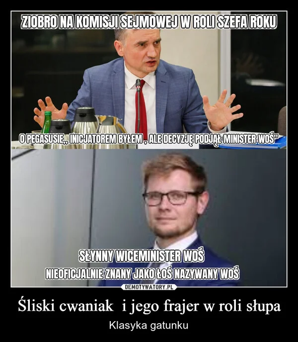 
    Śliski cwaniak i jego frajer w roli słupa