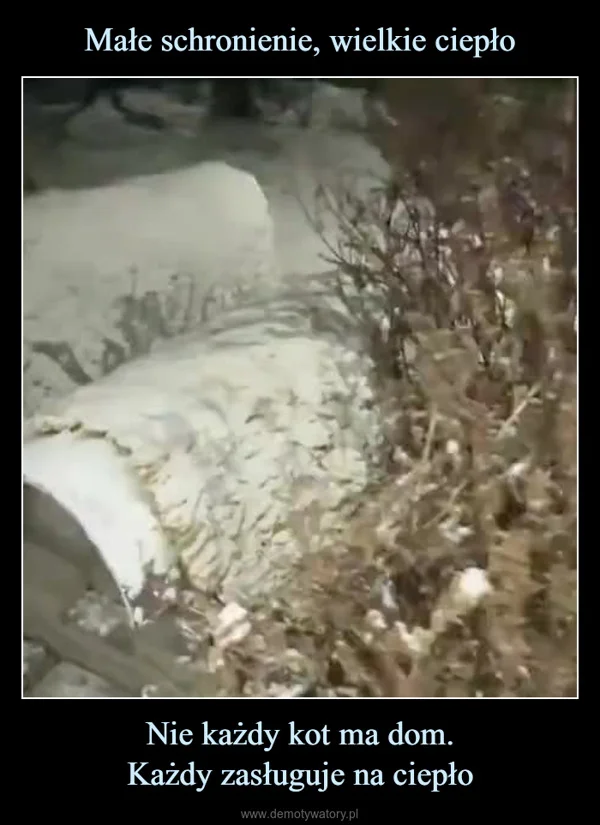 
    Małe schronienie, wielkie ciepło Nie każdy kot ma dom. Każdy zasługuje na ciepło
