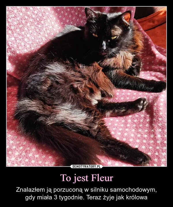 
    To jest Fleur