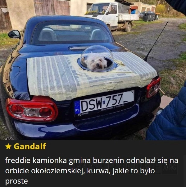 Cabrio