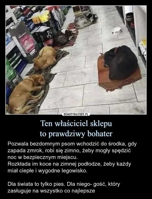 
    Ten właściciel sklepu to prawdziwy bohater