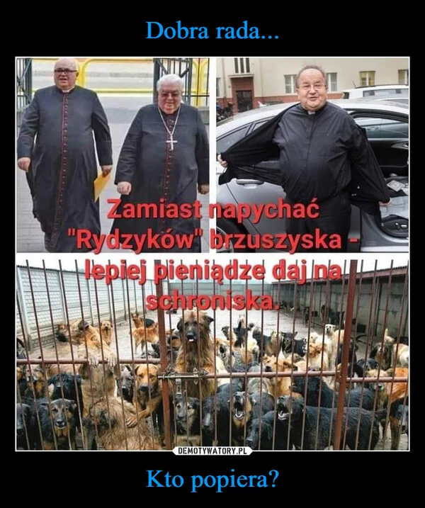 
    Dobra rada... Kto popiera?