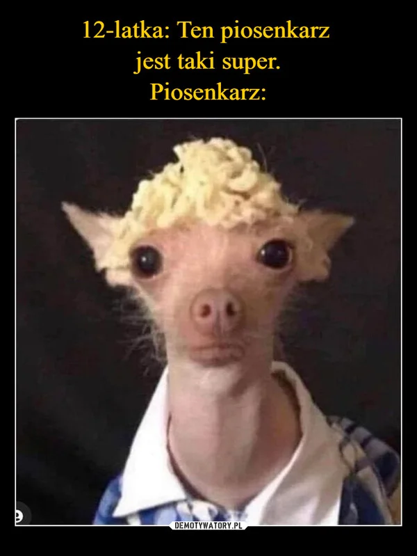 12-latka: Ten piosenkarz jest taki super. Piosenkarz: