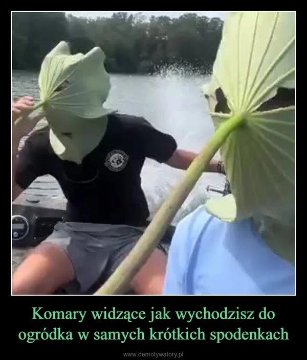 
    Komary widzące jak wychodzisz do ogródka w samych krótkich spodenkach