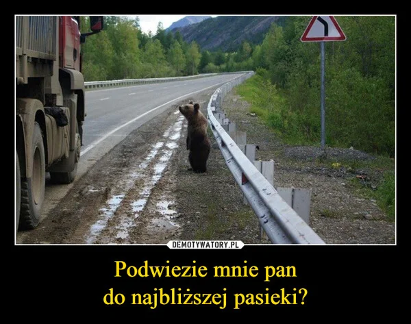 
    Podwiezie mnie pan do najbliższej pasieki?