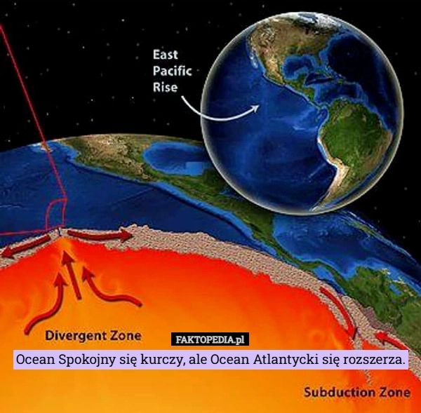 
    Ocean Spokojny się kurczy, ale Ocean Atlantycki się rozszerza.