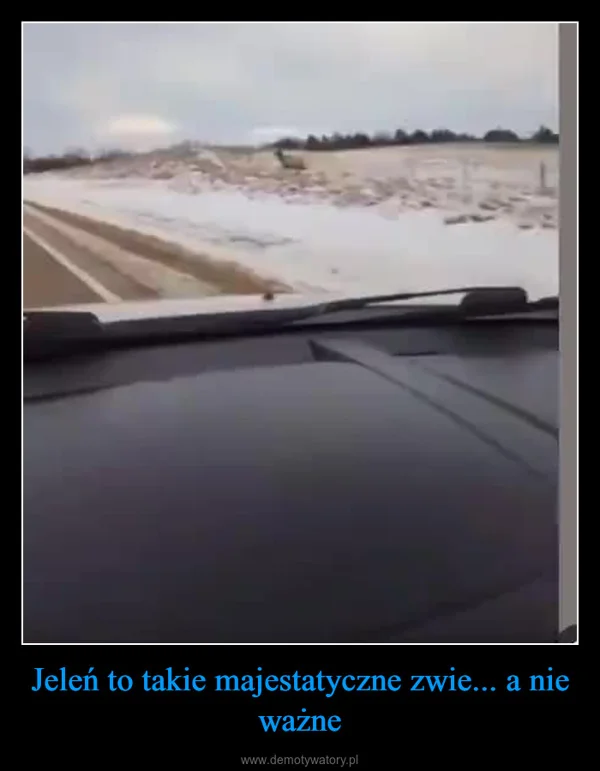 
    Jeleń to takie majestatyczne zwie... a nie ważne