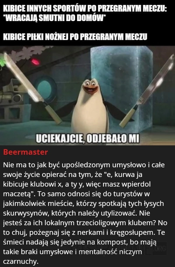
    Kibice