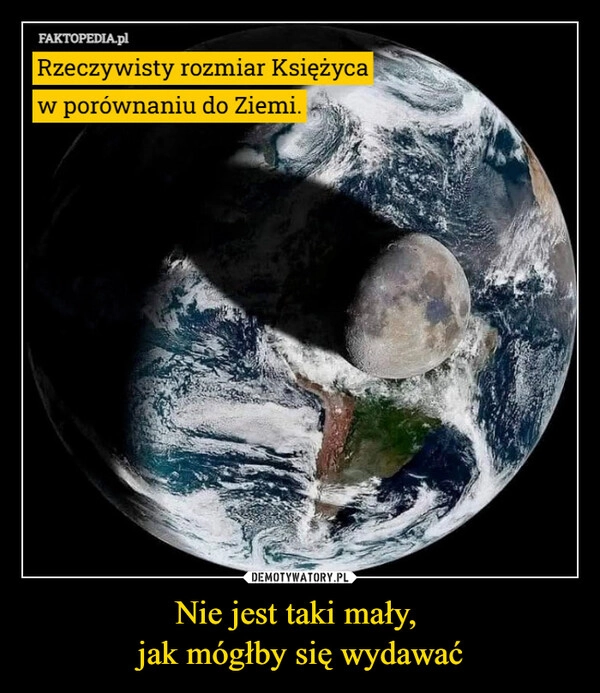 
    Nie jest taki mały, 
jak mógłby się wydawać