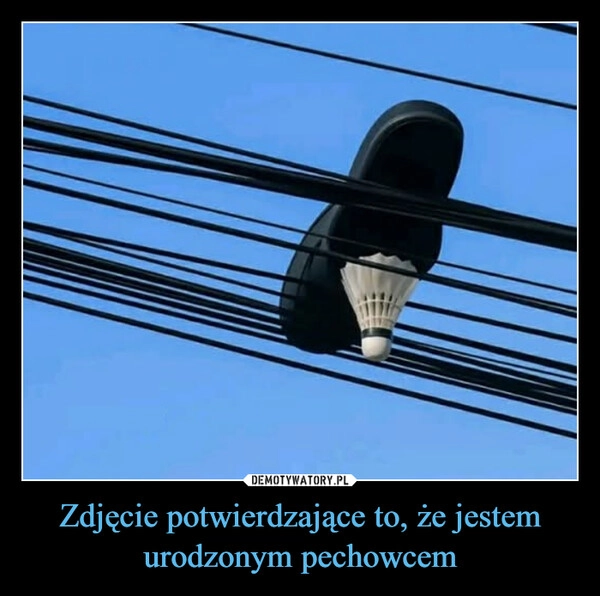 
    Zdjęcie potwierdzające to, że jestem urodzonym pechowcem