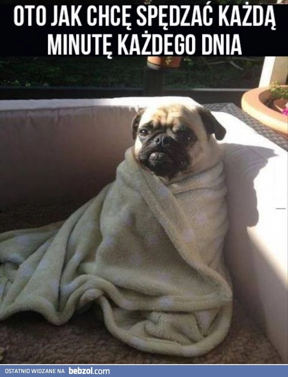 
    Najlepiej na świecie