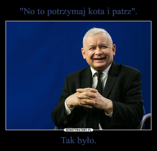 "No to potrzymaj kota i patrz". Tak było.