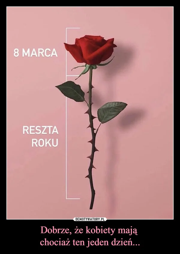 
    Dobrze, że kobiety mają chociaż ten jeden dzień...