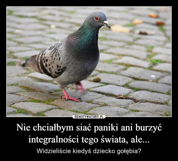 
    Nie chciałbym siać paniki ani burzyć integralności tego świata, ale...