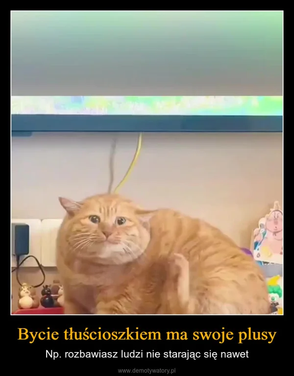 
    Bycie tłuścioszkiem ma swoje plusy