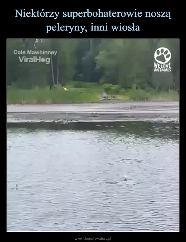 
    Niektórzy superbohaterowie noszą peleryny, inni wiosła