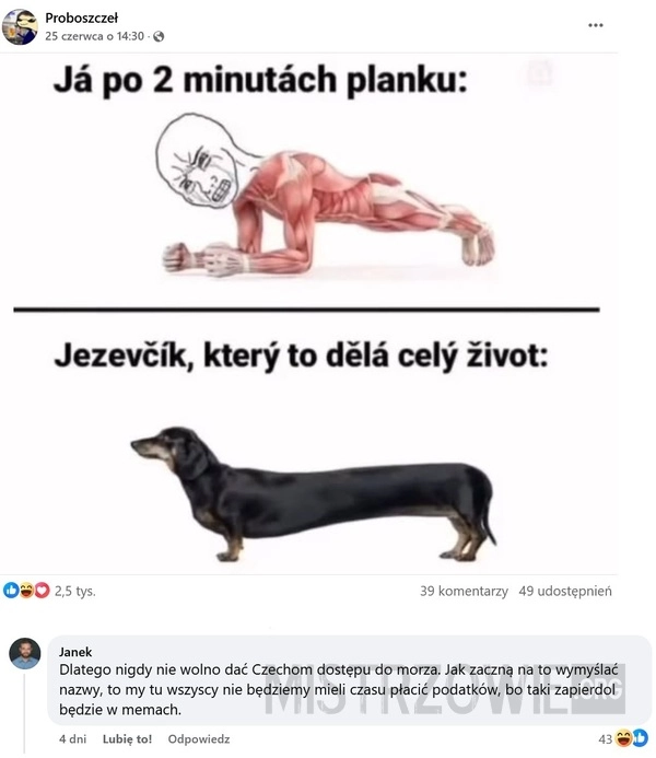 
    Piękny język