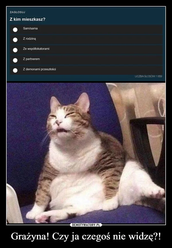 
    Grażyna! Czy ja czegoś nie widzę?!