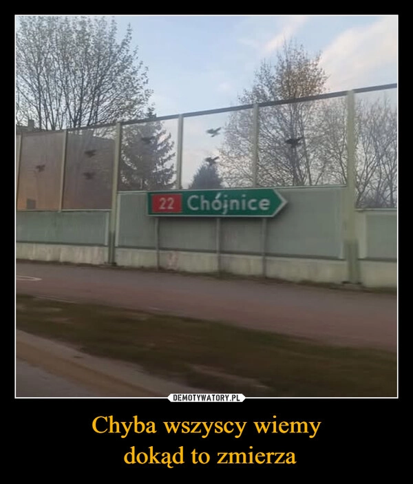
    Chyba wszyscy wiemy
 dokąd to zmierza