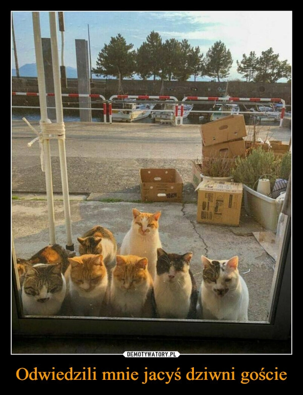 Odwiedzili mnie jacyś dziwni goście