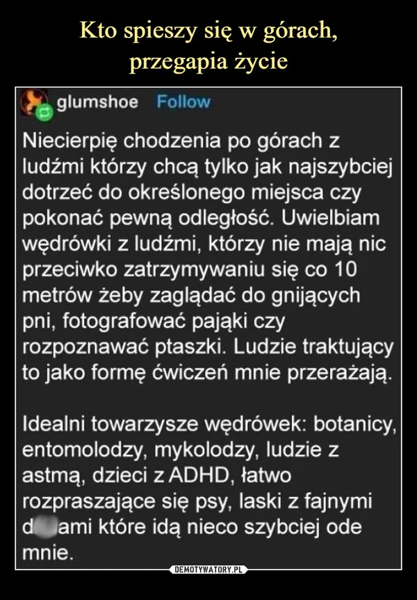 
    Kto spieszy się w górach, przegapia życie