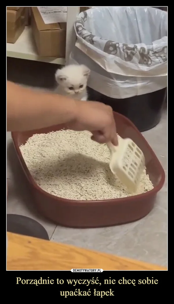Porządnie to wyczyść, nie chcę sobie upaćkać łapek