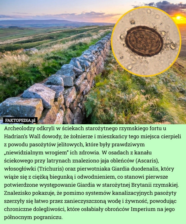 
    Archeolodzy odkryli w ściekach starożytnego rzymskiego fortu u Hadrian’s