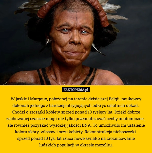 
    W jaskini Margaux, położonej na terenie dzisiejszej Belgii, naukowcy dokonali