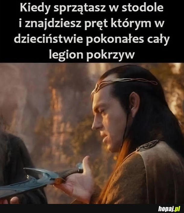 
    Zacny oręż