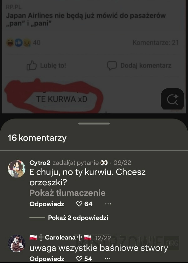 
    Zwroty