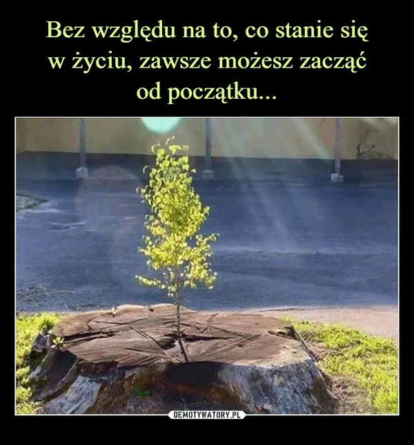 
    Bez względu na to, co stanie się w życiu, zawsze możesz zacząć od początku...