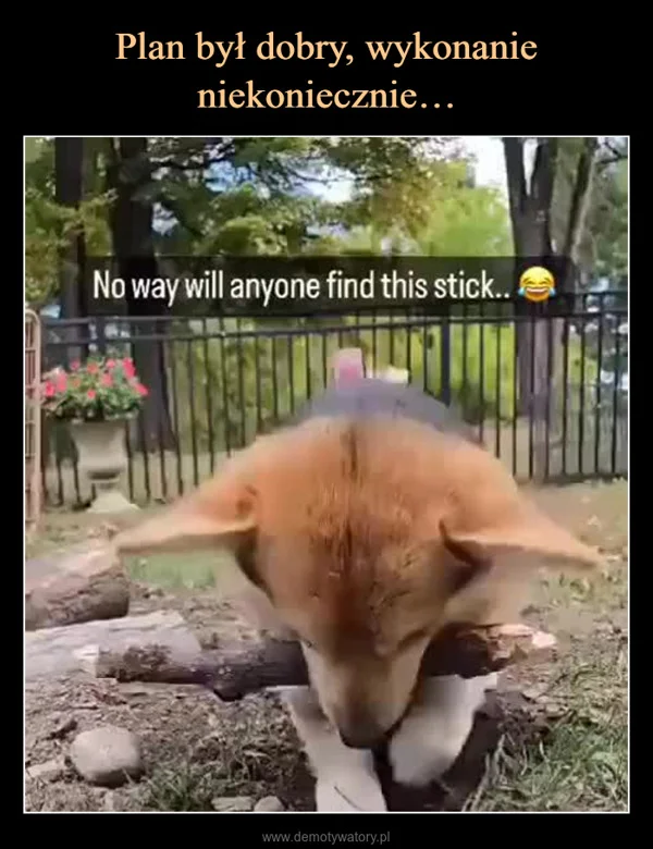 Plan był dobry, wykonanie niekoniecznie…