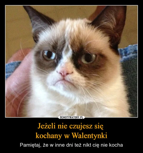 
    Jeżeli nie czujesz się kochany w Walentynki