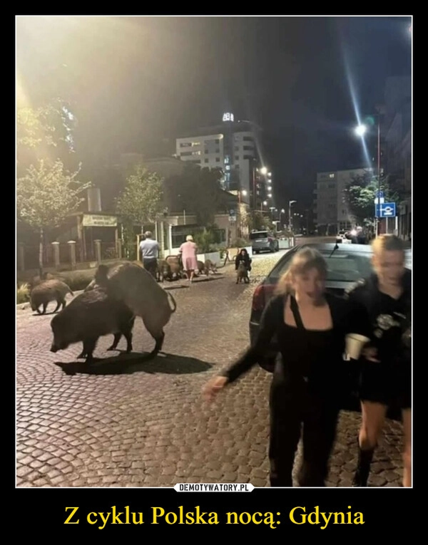 
    Z cyklu Polska nocą: Gdynia
