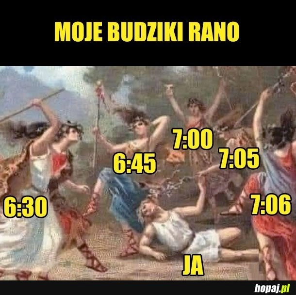 Budziki